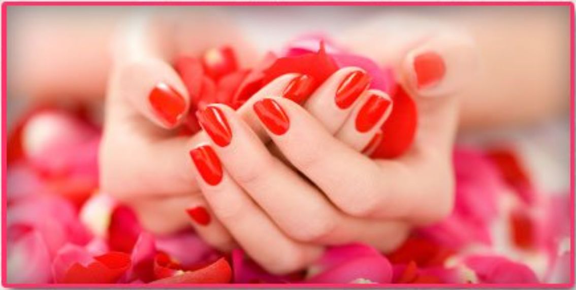 Cosmetology Courses